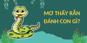 Con số đi kèm khi gặp phải giấc mộng thấy rắn